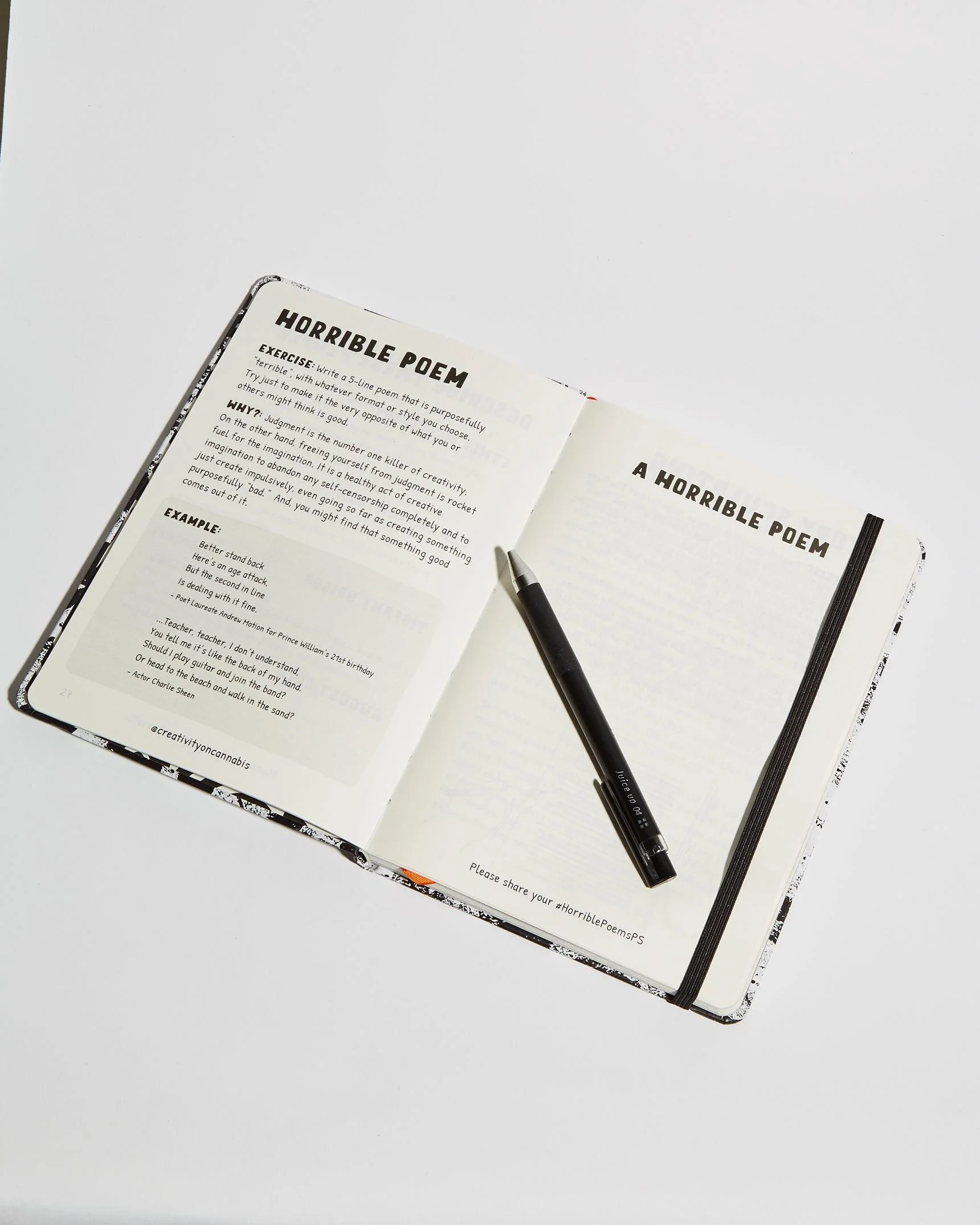 High Adult Journal - Image 4