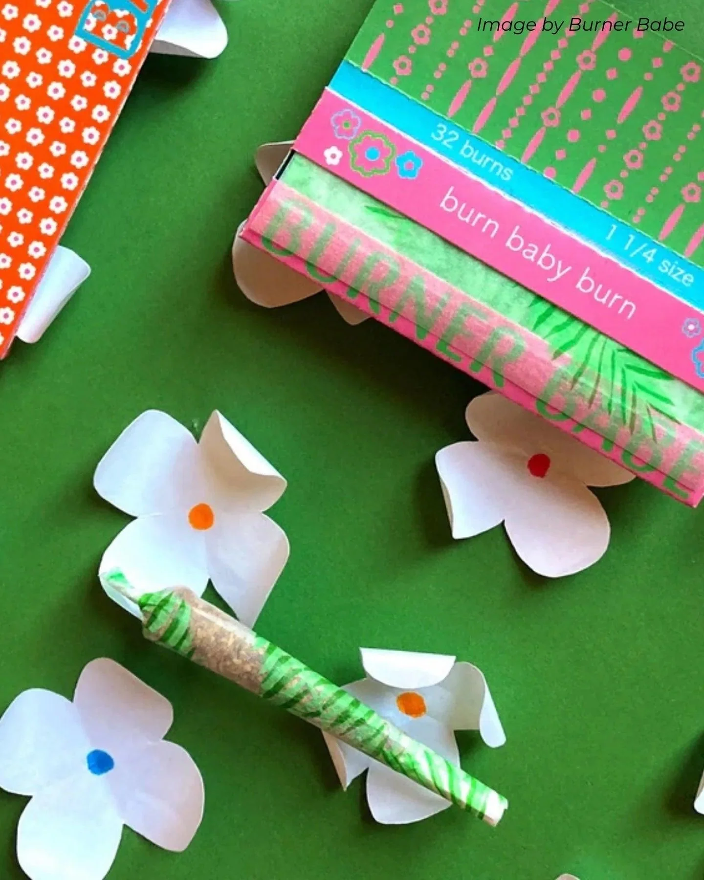 Printed Organic Rolling Papers - Image 9