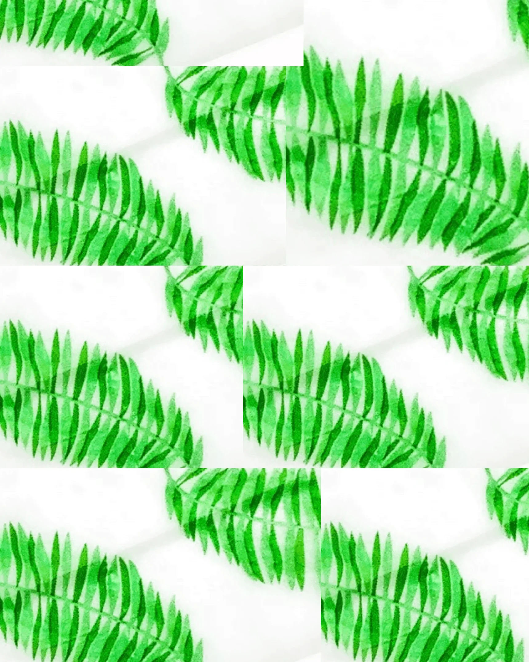 Printed Pre-Rolled Cones - Image 6